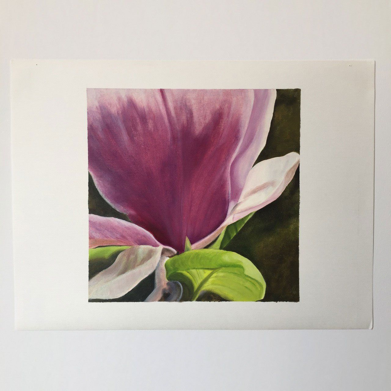 Magnolia Study II, 2016, Oil on canvas , painting by Sarah Wood