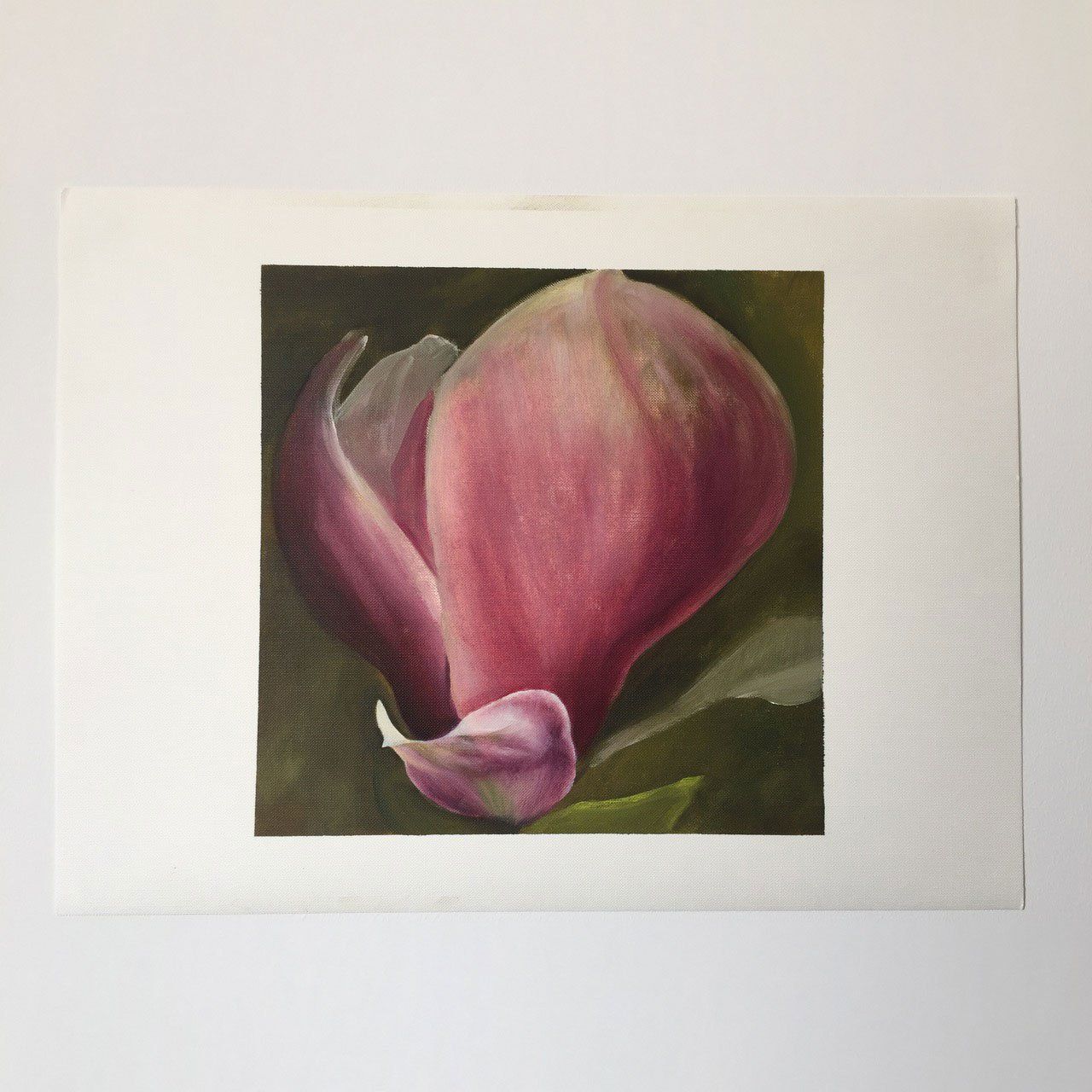 Magnolia Study III, 2016, Oil on canvas , painting by Sarah Wood