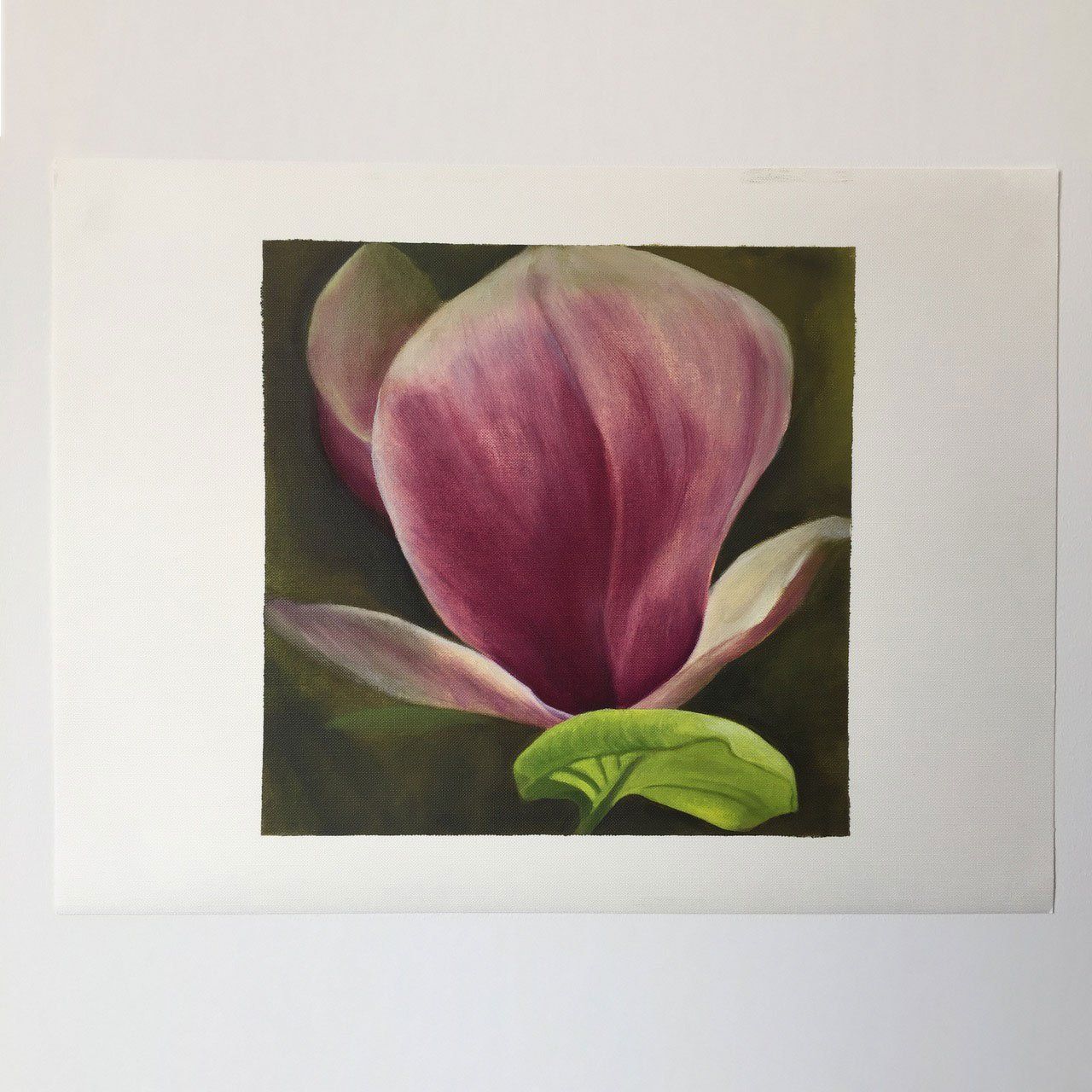 Magnolia Study IV, 2016, Oil on canvas , painting by Sarah Wood