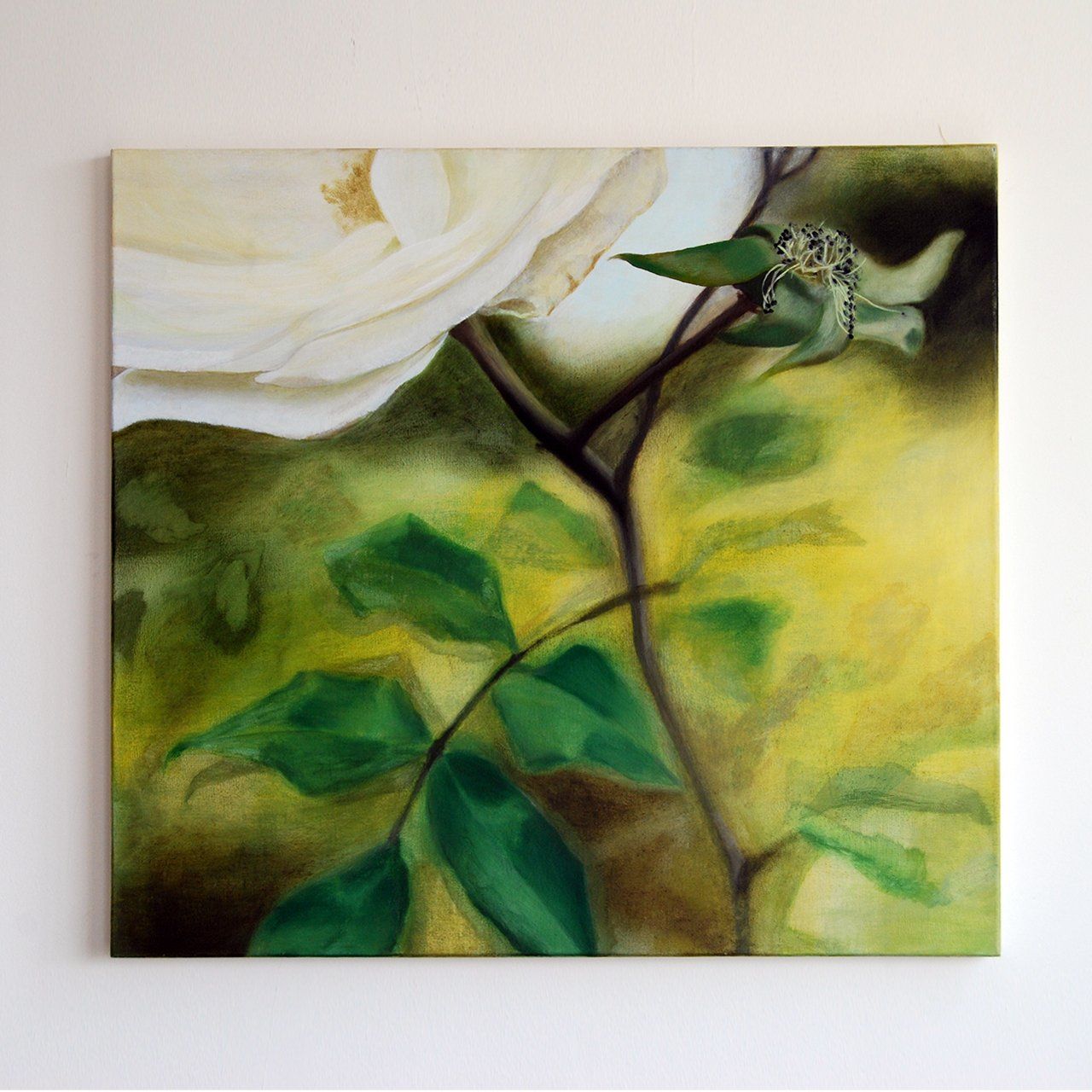 White Rose, 1997, Oil on canvas , painting by Sarah Wood