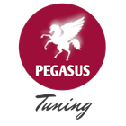 Logo van Pegasus Tuning: