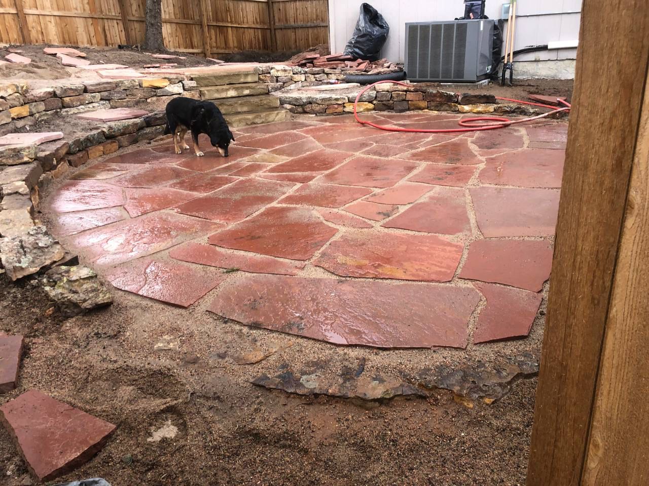 A dog is standing on a stone patio in a backyard