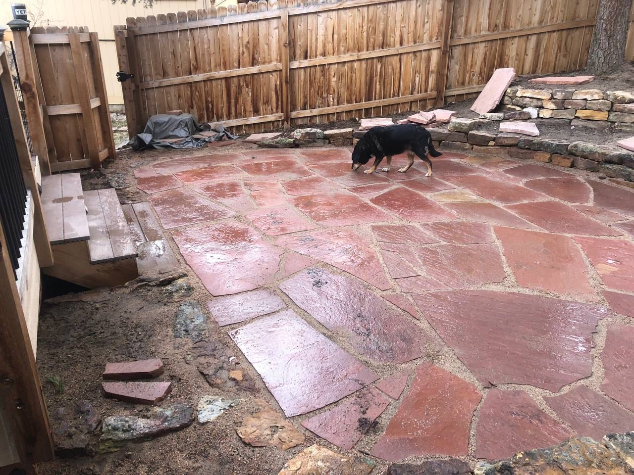 A dog is walking on a patio with a wooden fence in the background.