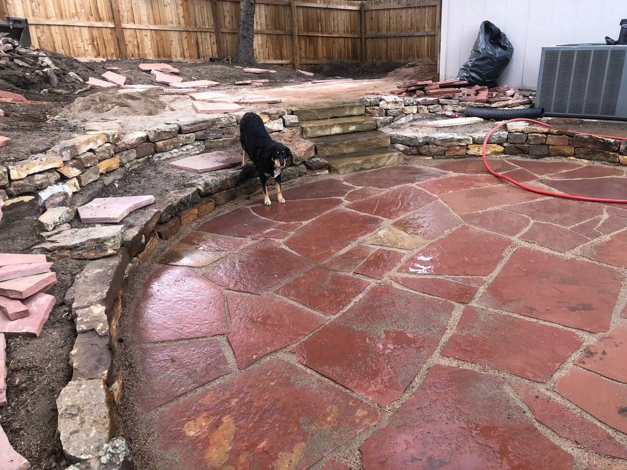 A dog is standing on a brick patio next to a hose.