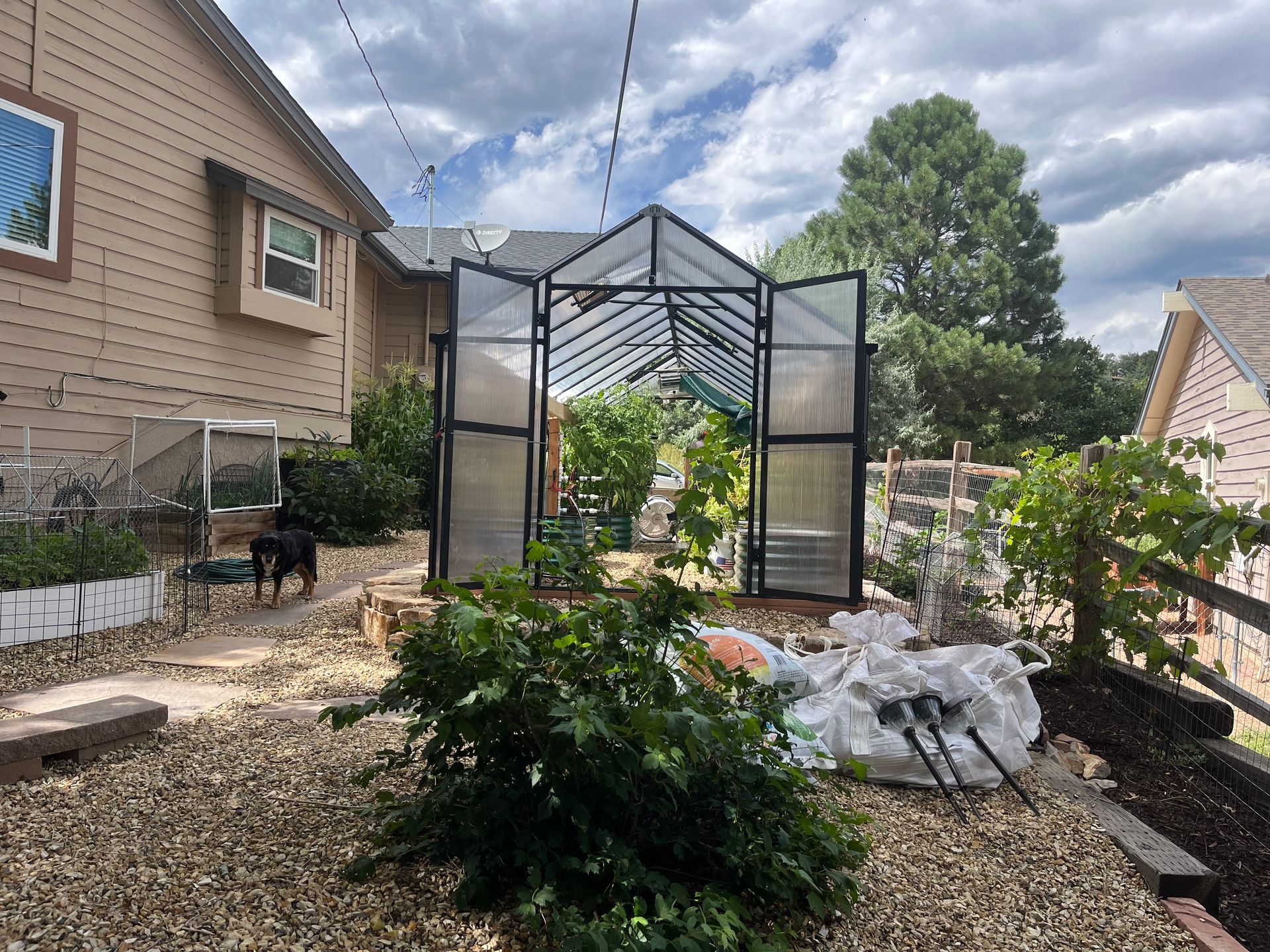 A greenhouse is in the backyard of a house