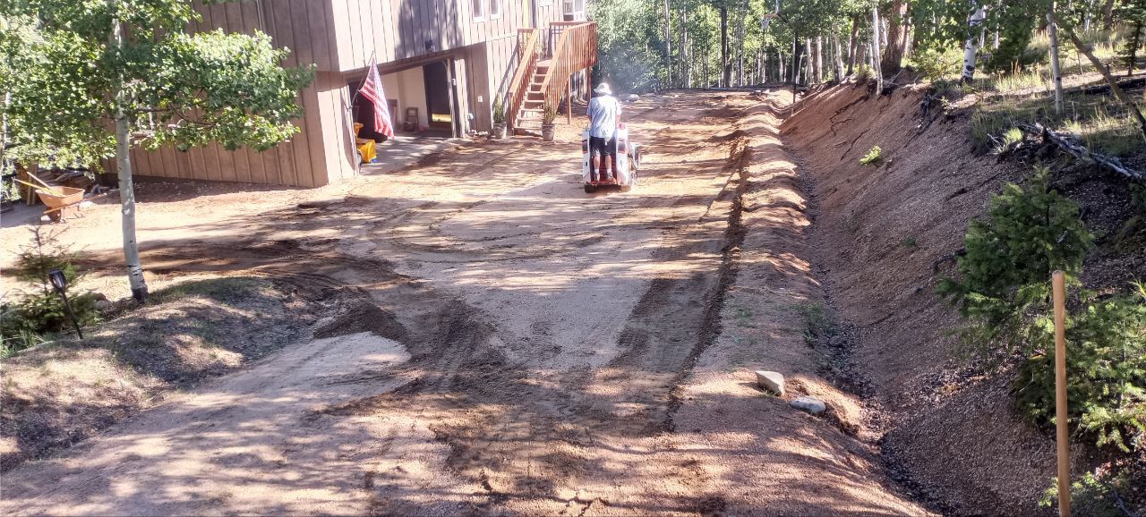 A dirt road with trees on the side of it