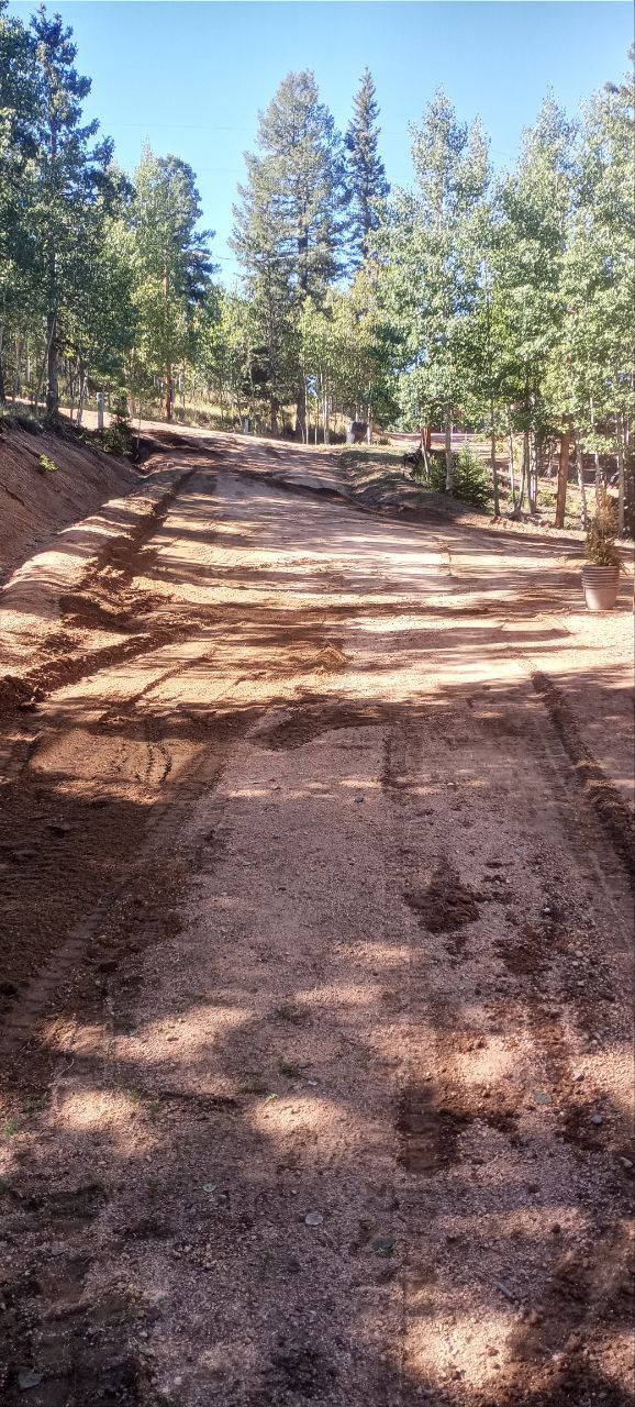 A dirt road in the middle of a forest with trees in the background.