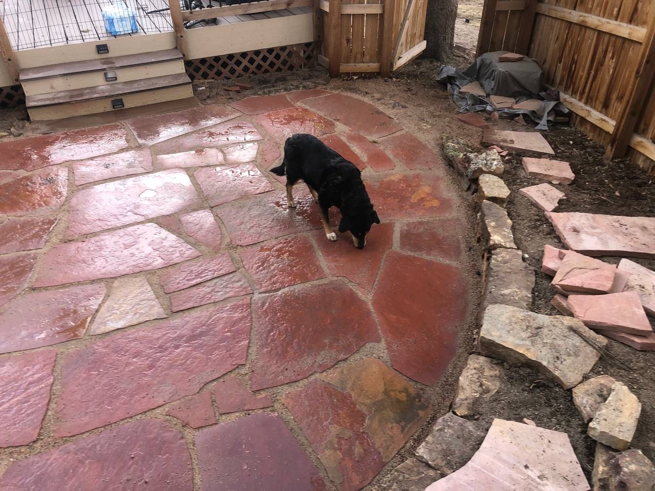A black dog is standing on a stone patio