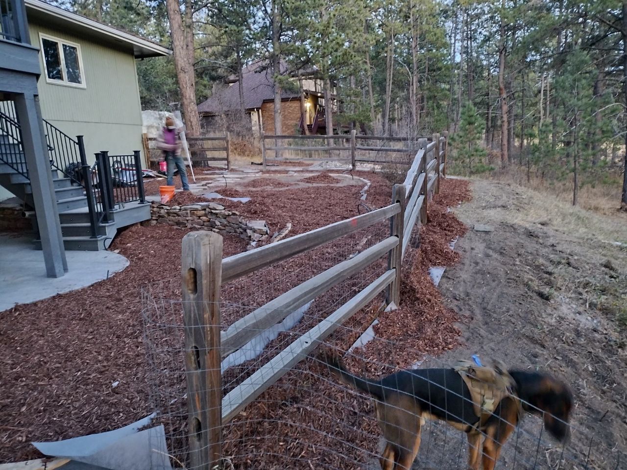 A dog standing next to a wooden fence in front of a house