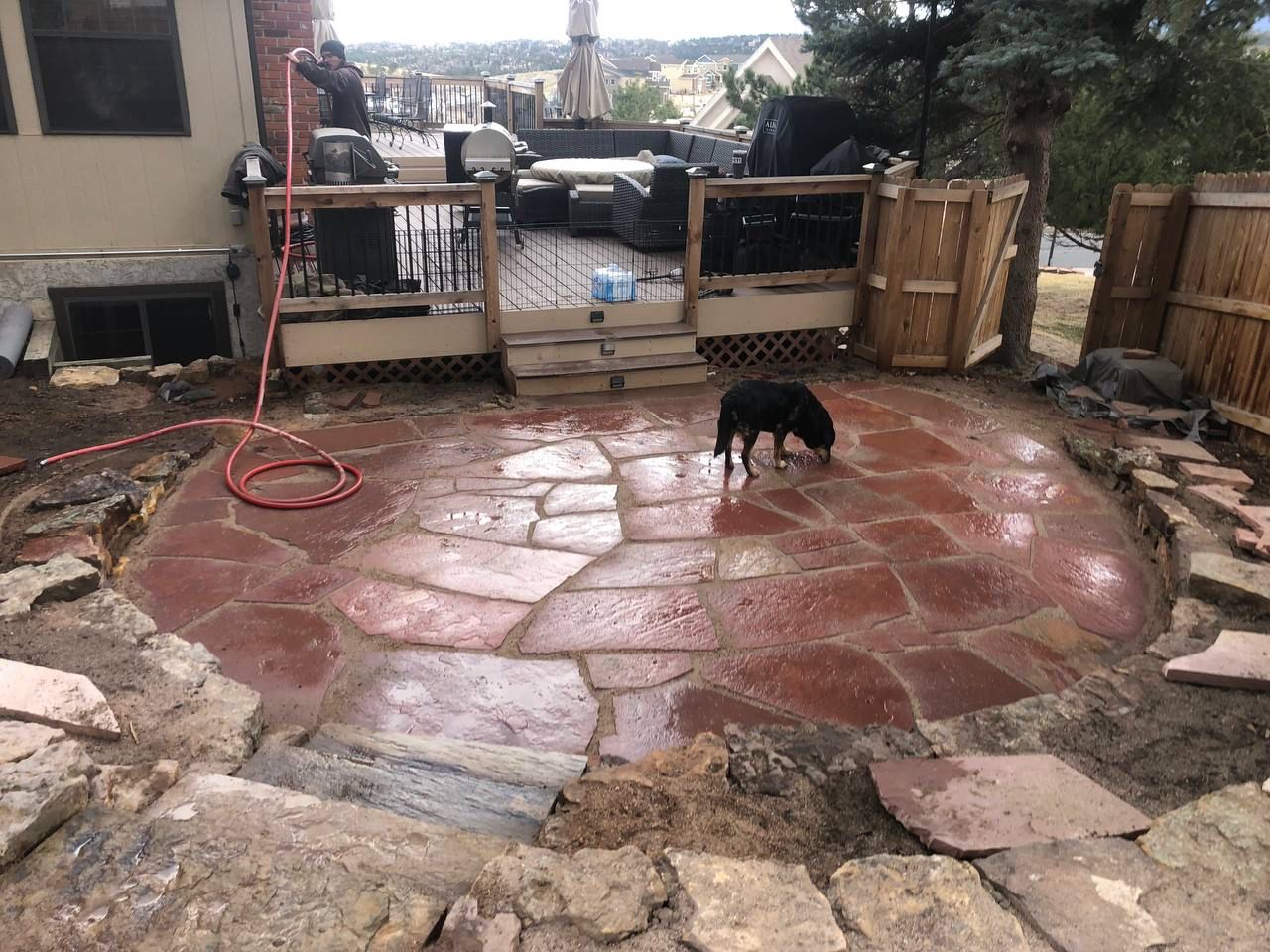 A dog is standing on a stone patio in front of a house.