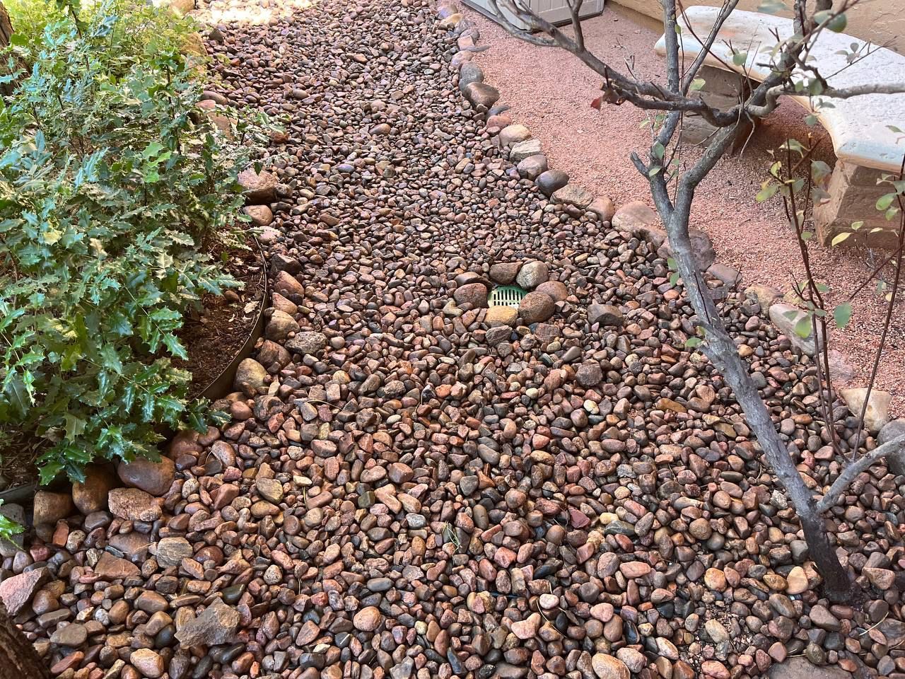 A path filled with rocks and plants in a garden.