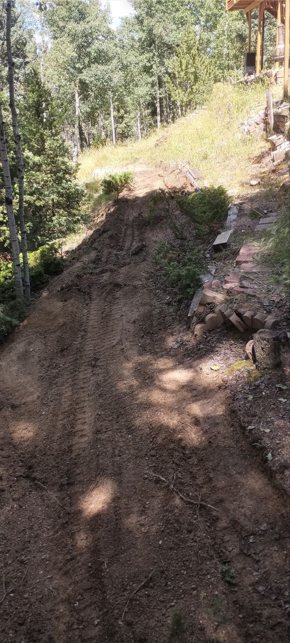 A dirt road leading to a house in the woods.