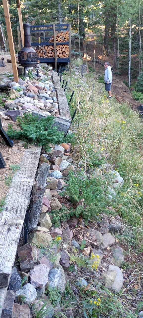 A man is standing on top of a rocky hill in the woods.