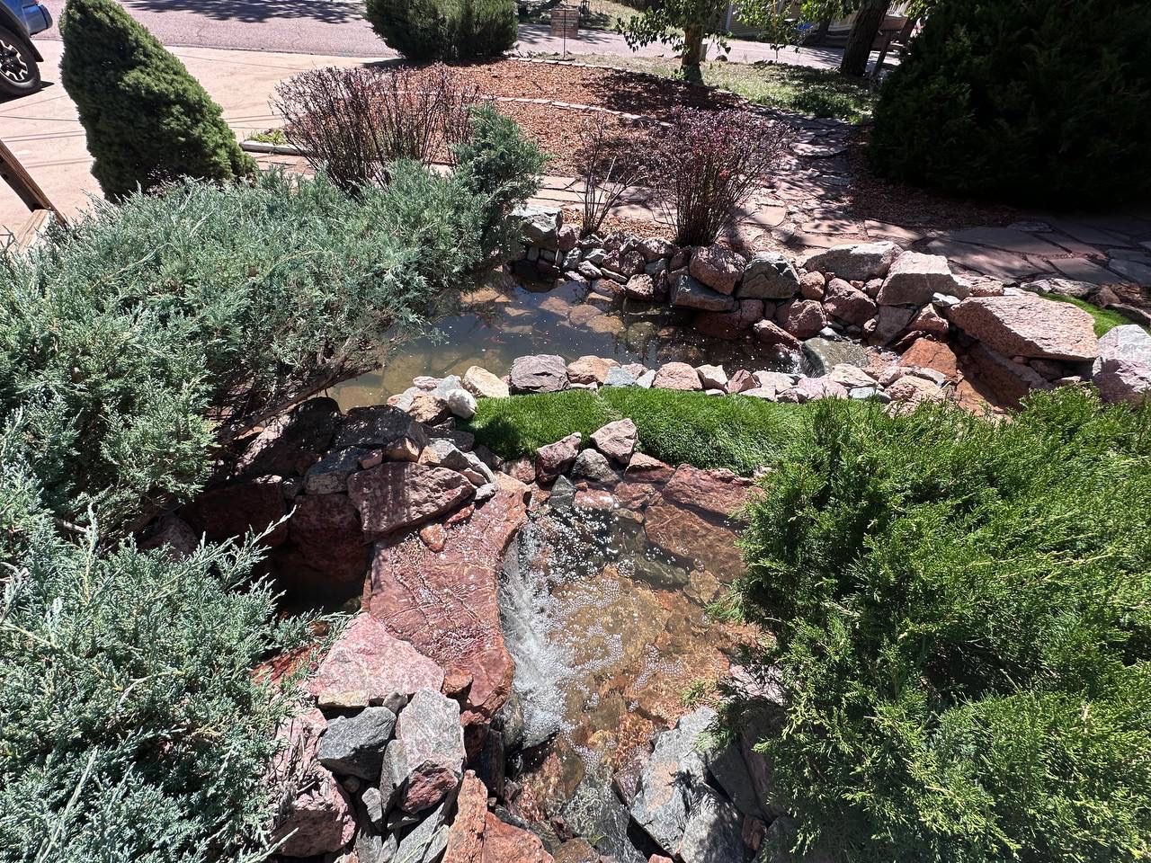 A small pond surrounded by rocks and trees in a garden.