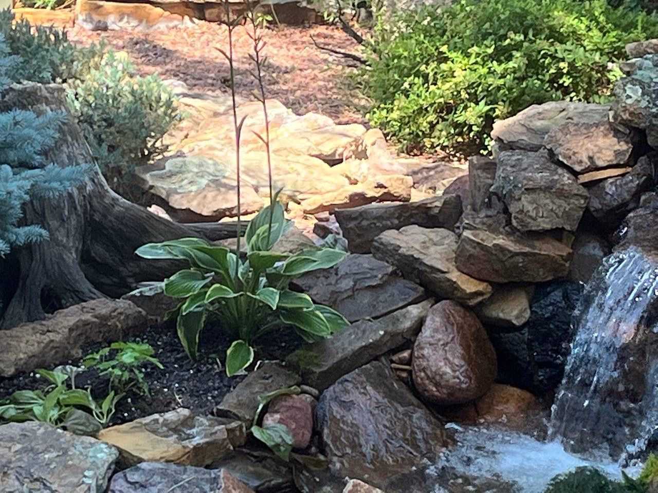 A small waterfall is surrounded by rocks and plants in a garden.