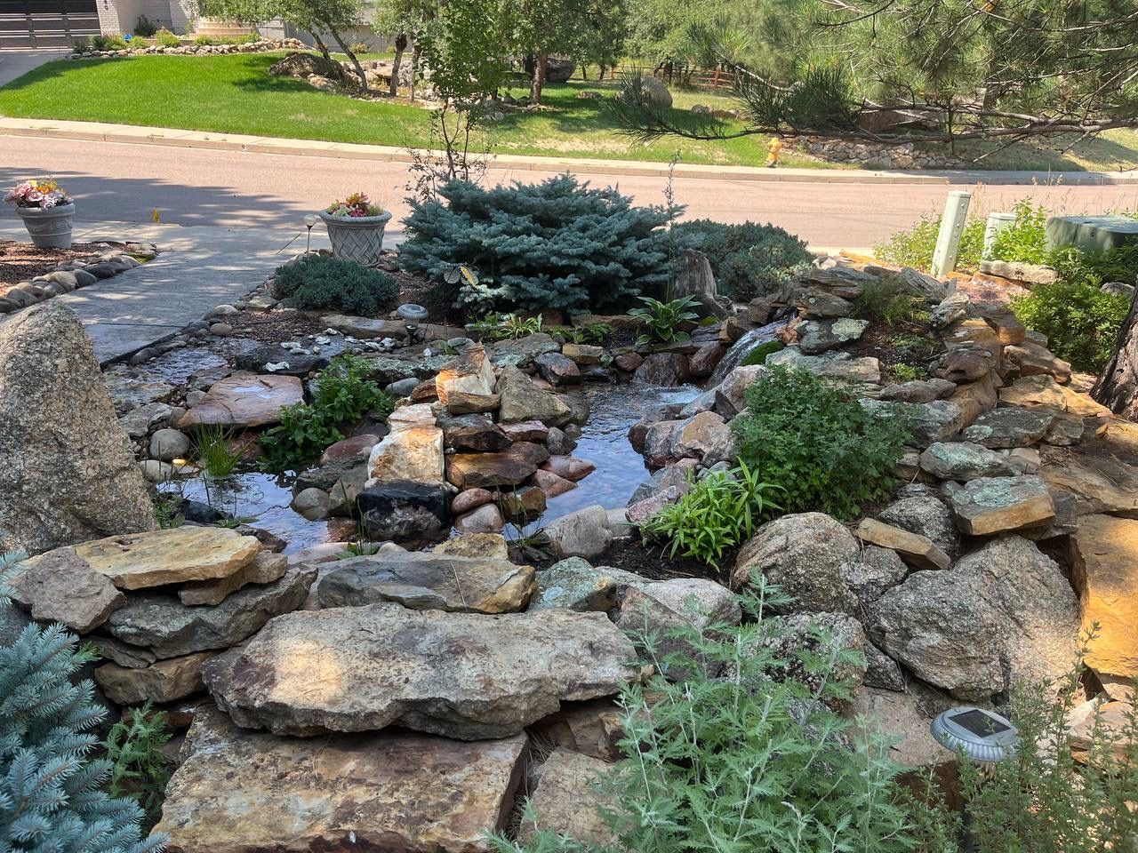 A small pond surrounded by rocks and plants in a garden.
