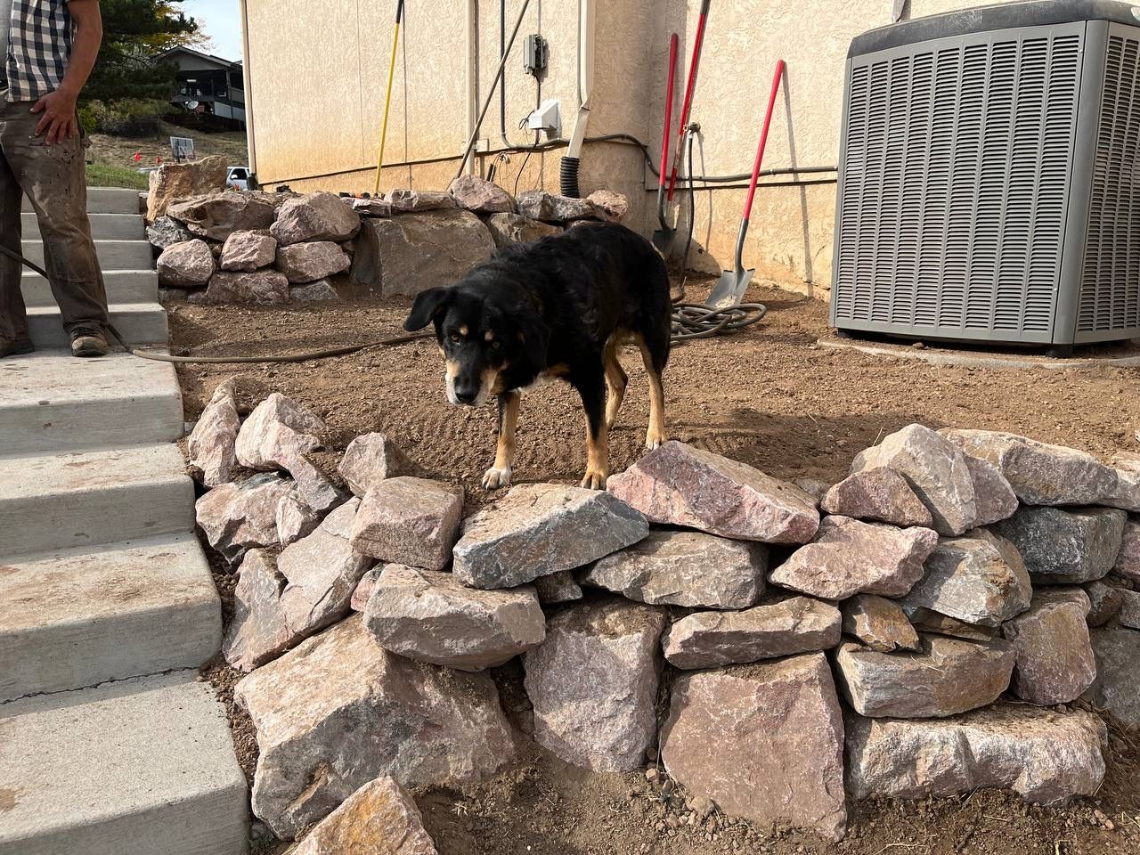 A black dog standing on a pile of rocks