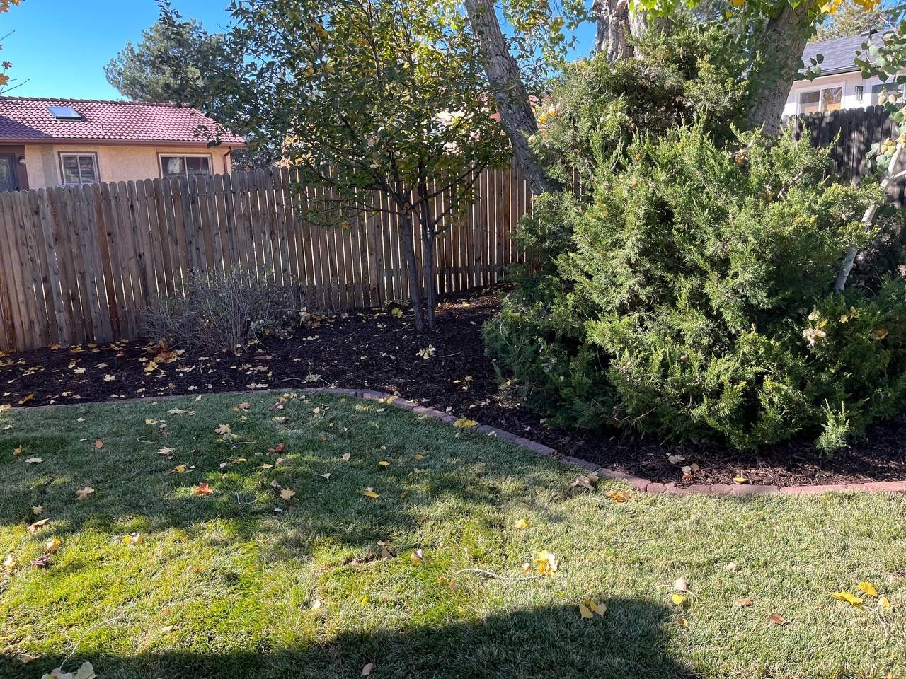 A backyard with a wooden fence and a house in the background.