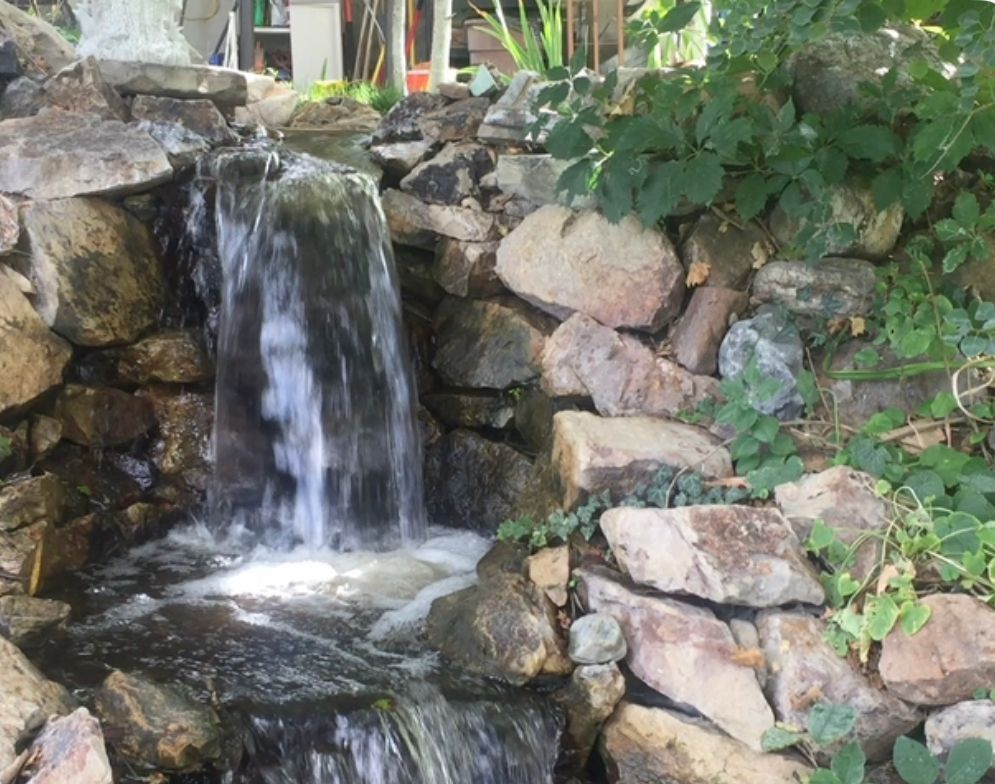 A small waterfall is surrounded by rocks and plants.