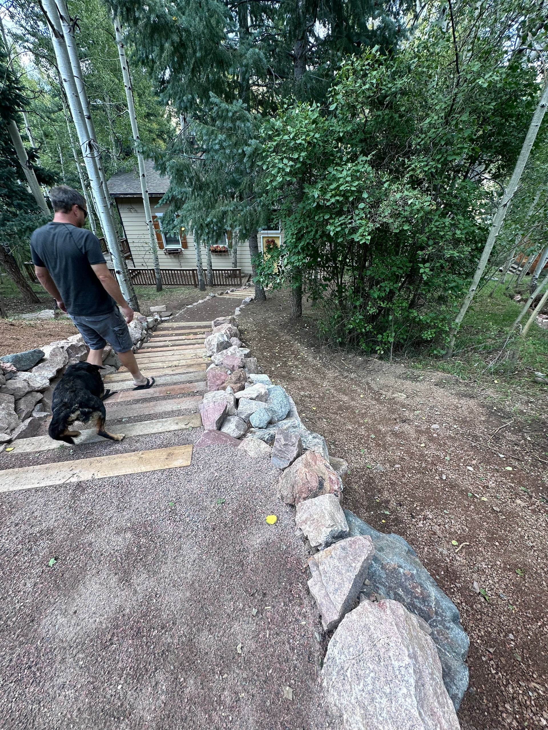 A man and a dog are walking down a set of stairs.