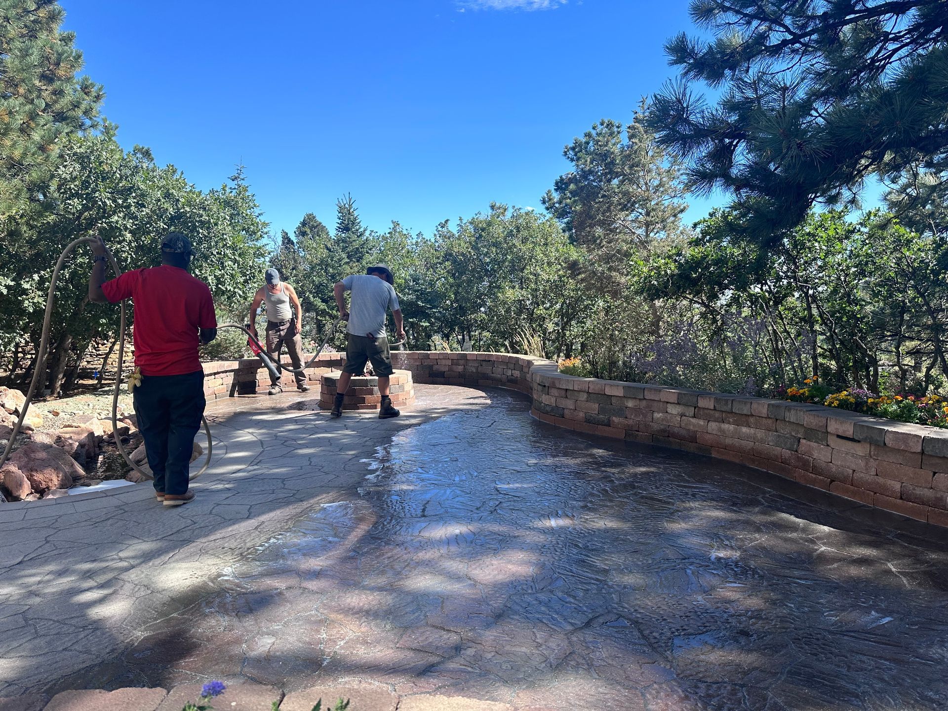 A group of people are walking down a path surrounded by trees