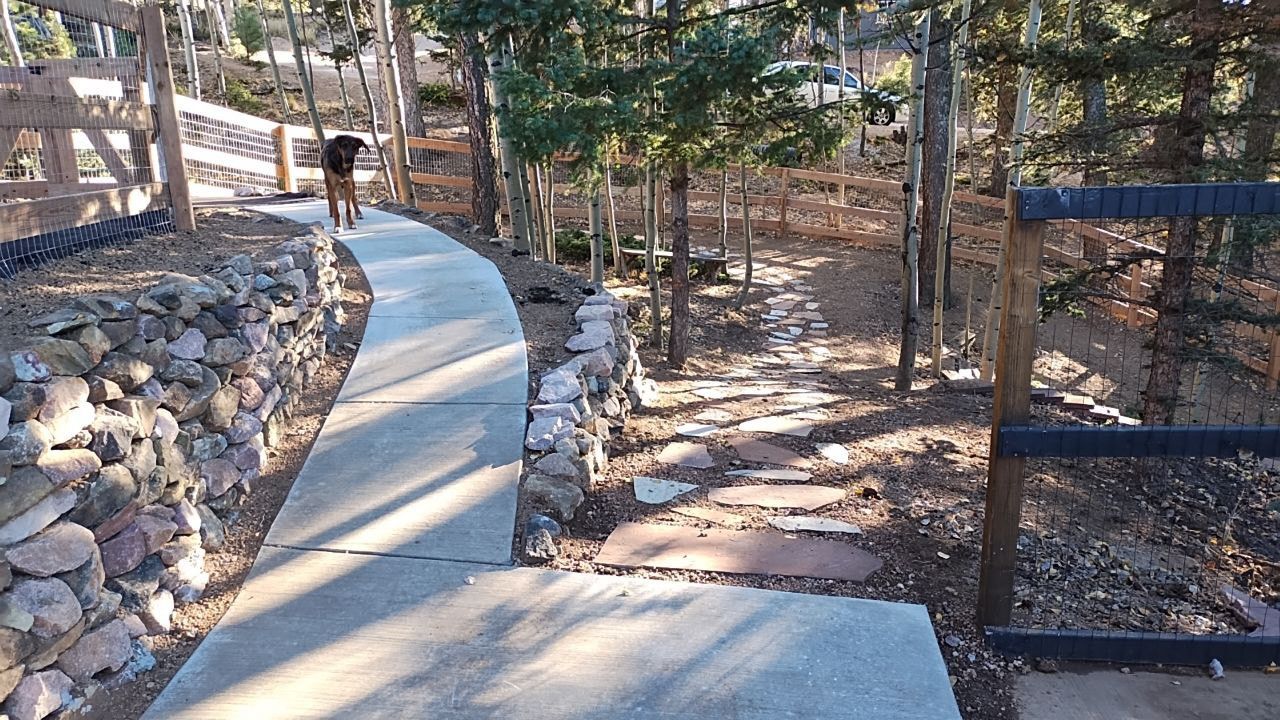 A dog is walking down a concrete path in the woods