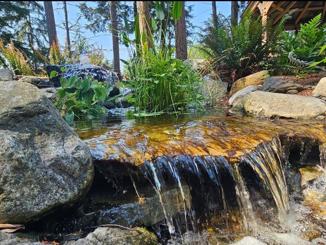 A small waterfall is surrounded by rocks and trees