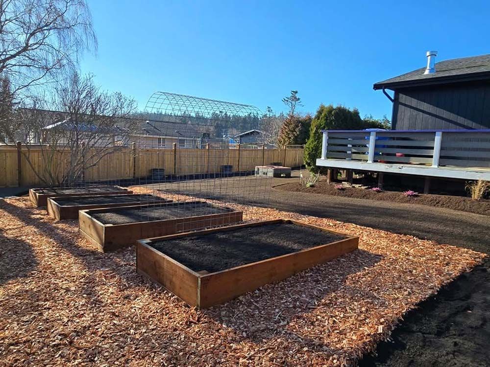 Raised garden beds filled with dark soil, surrounded by wood chips, in a sunny yard.