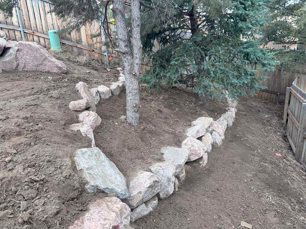 A tree surrounded by a rock border on a sloped dirt yard. A wooden fence is in the background.