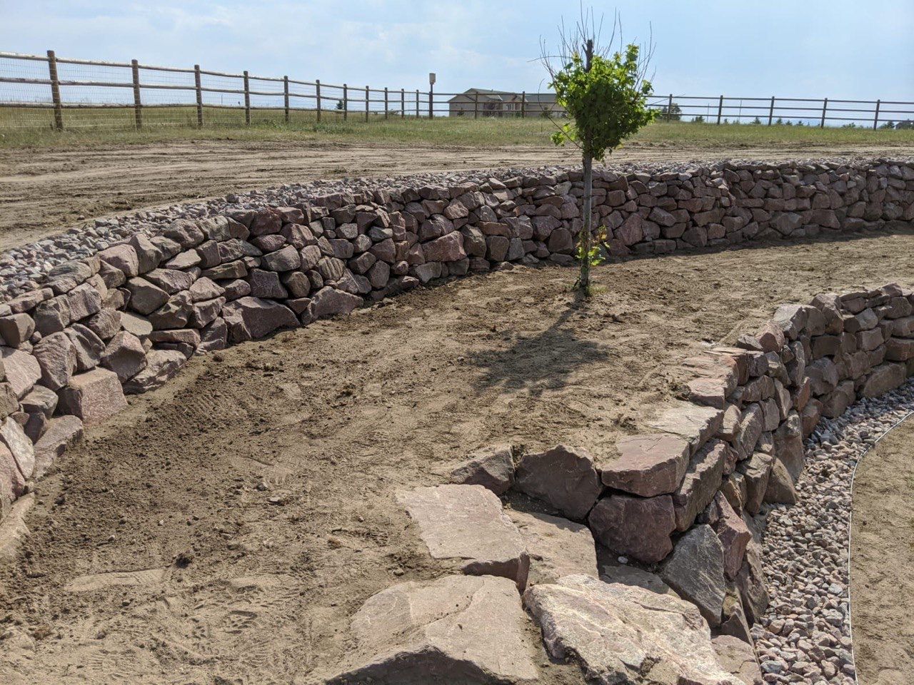 A stone wall with a tree in the middle of it