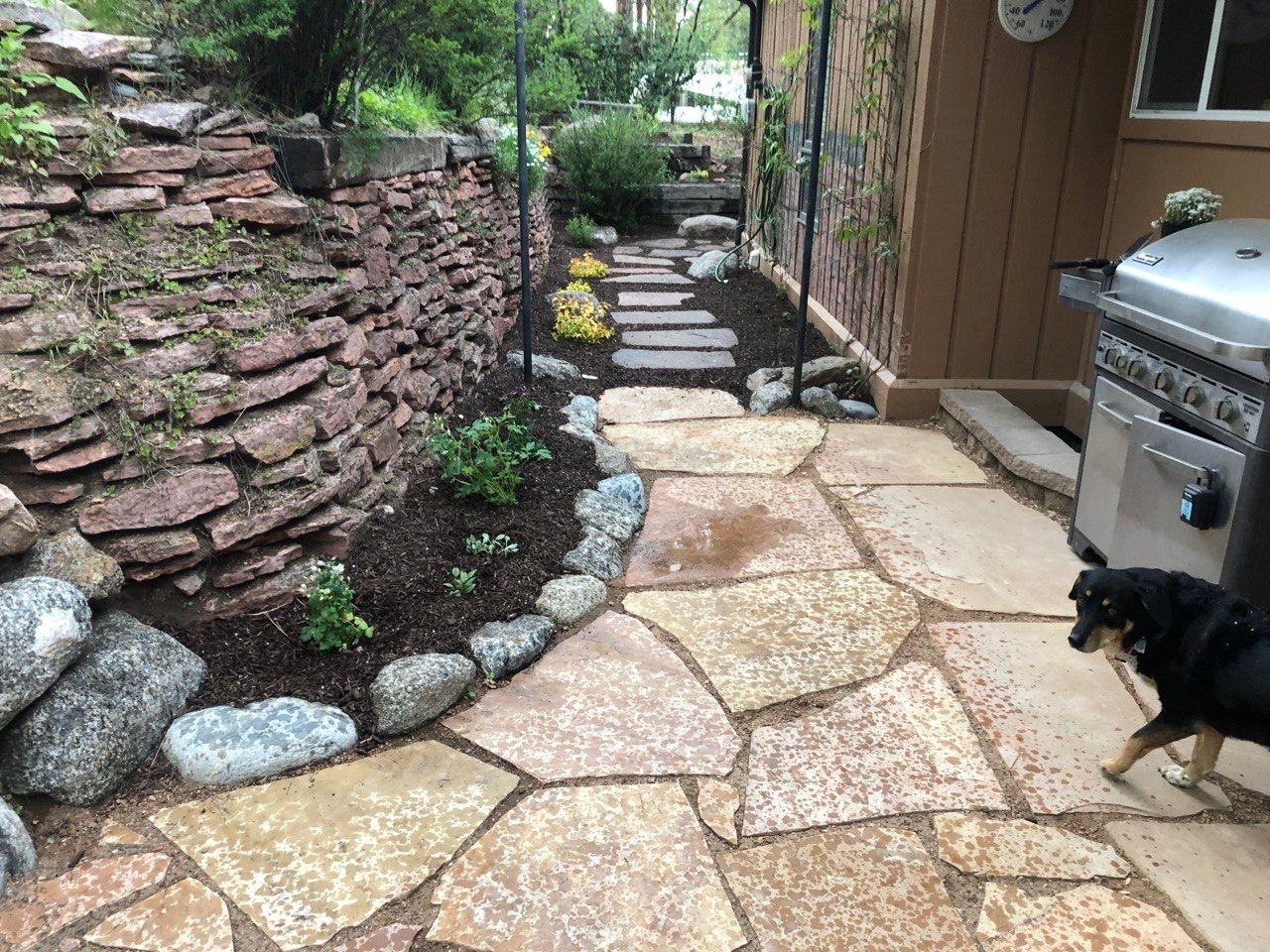 A dog is standing on a stone walkway next to a grill.