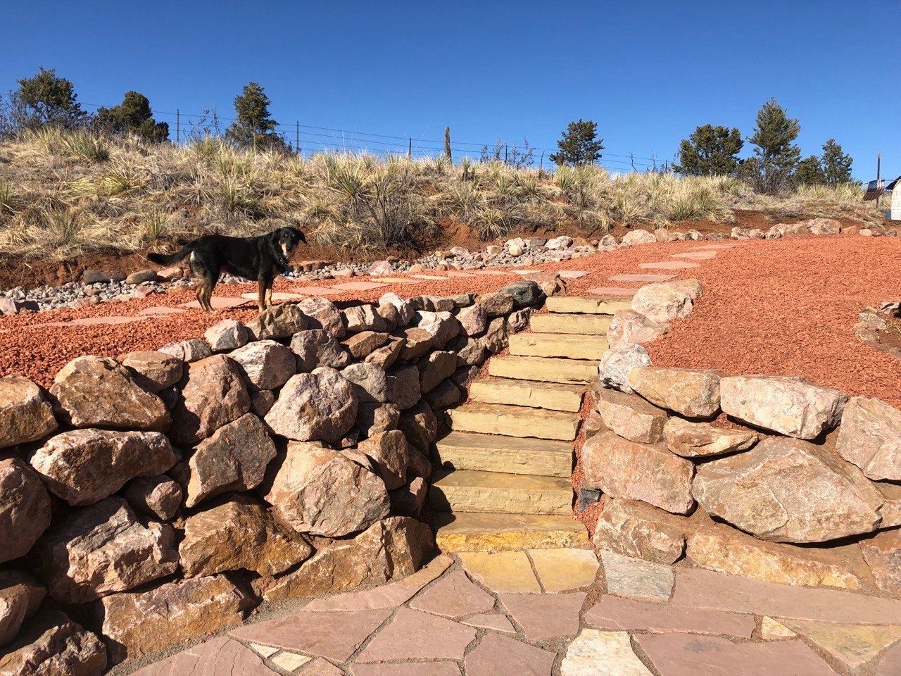 A dog walking down a set of stairs surrounded by rocks