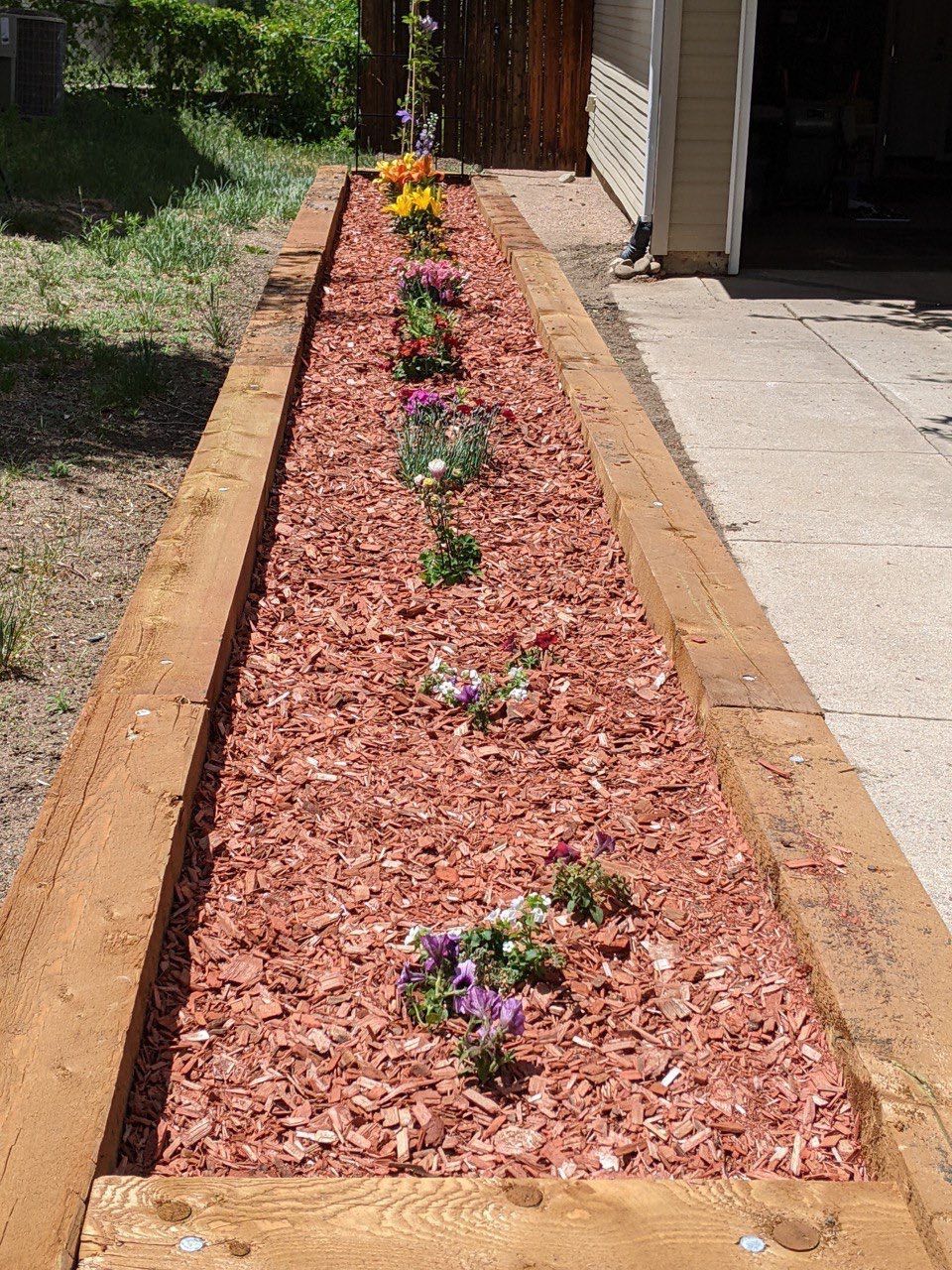 A row of flowers in a garden with red mulch