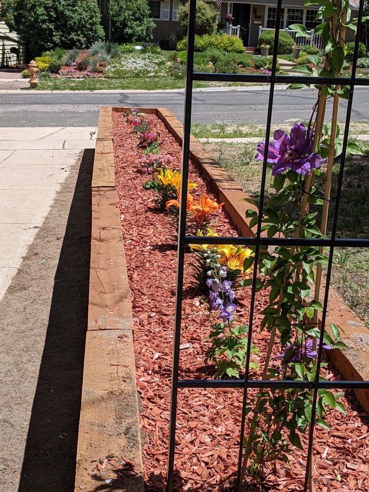 Long, narrow brick planter with red mulch and colorful flowers, supported by a black trellis, near a sidewalk and road.
