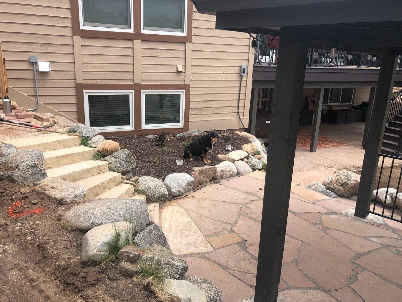 A dog standing in front of a house with stairs