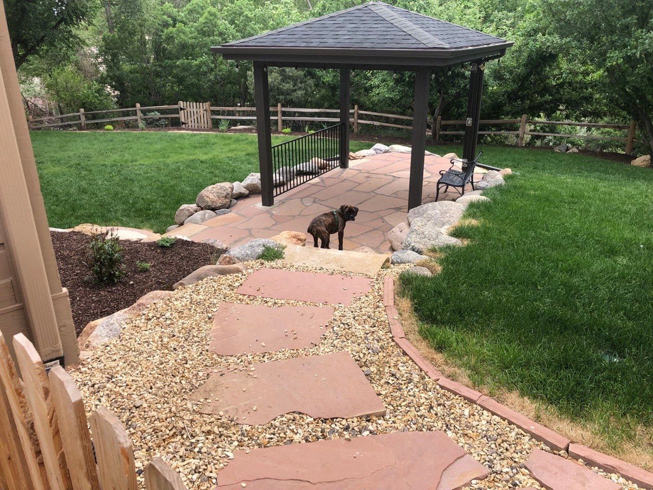 A dog is walking down a path in a backyard next to a gazebo.