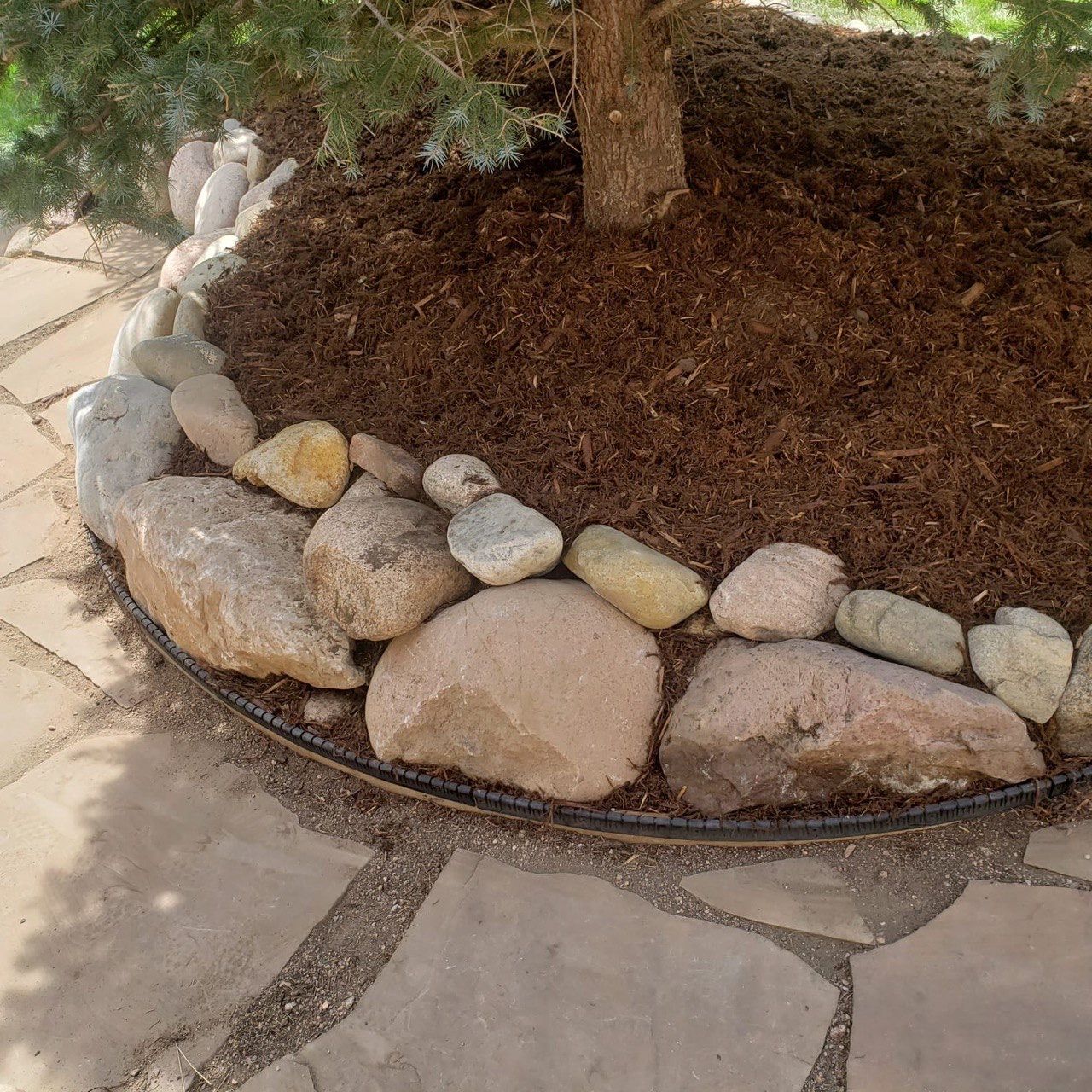 A tree is surrounded by rocks and mulch on a sidewalk