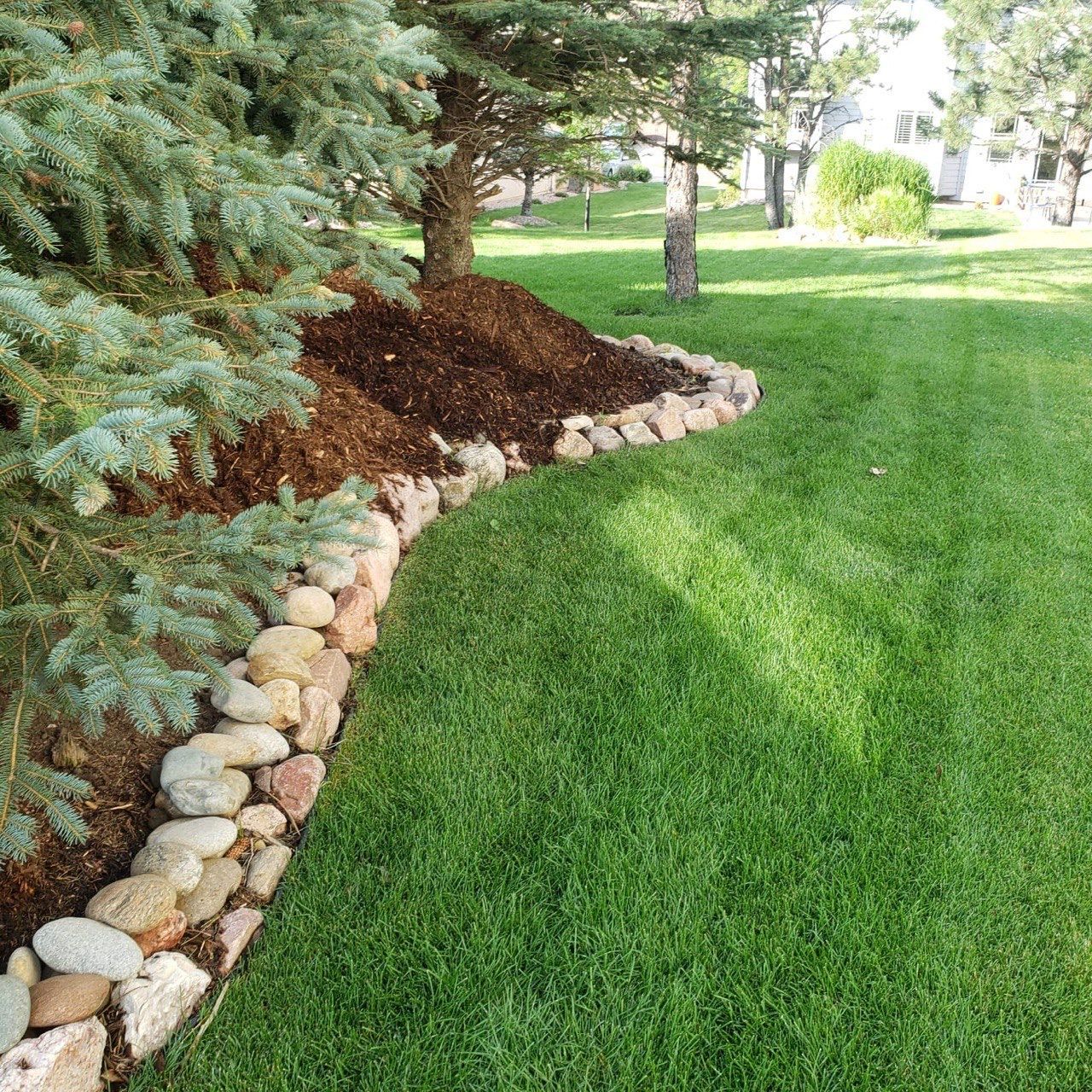 A lush green lawn with rocks and mulch in the corner