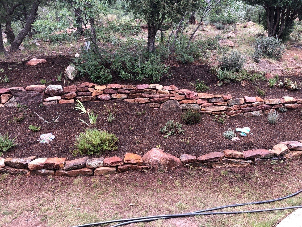 A rock garden with a hose in the foreground and trees in the background.
