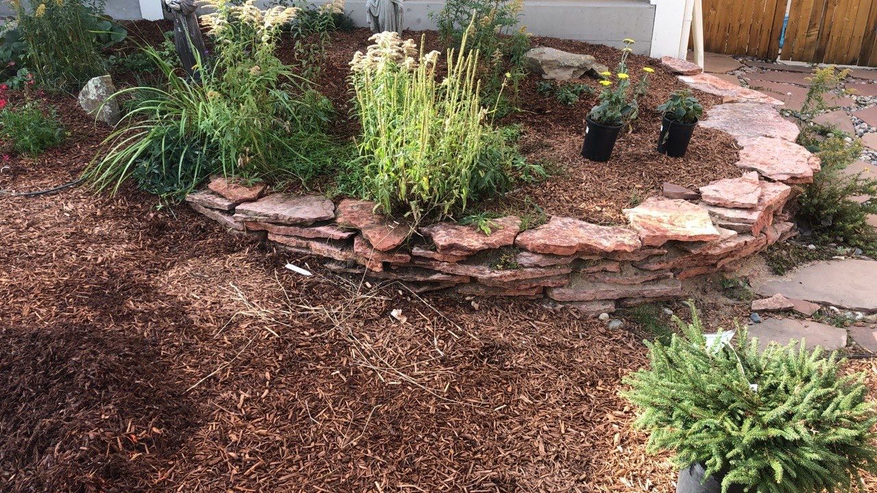 A garden with rocks , plants and mulch in front of a house.