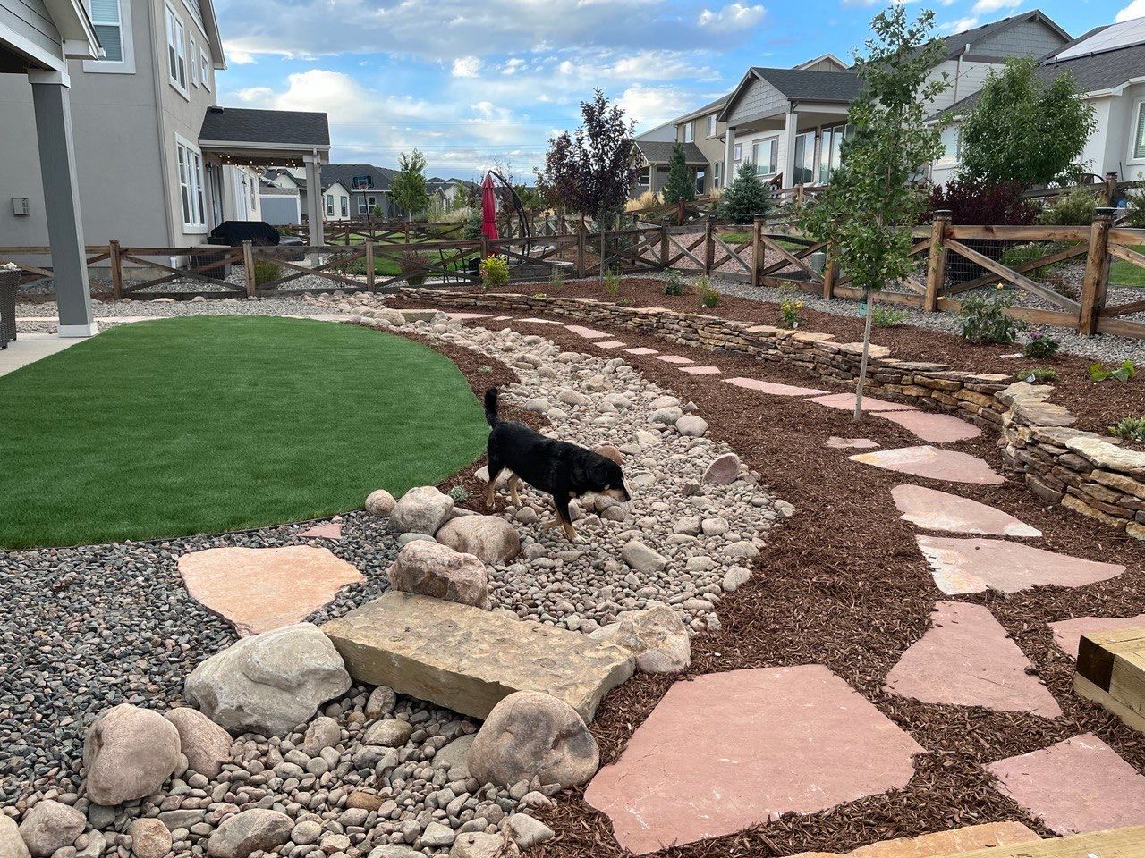 A dog is standing on a rocky path in a backyard.