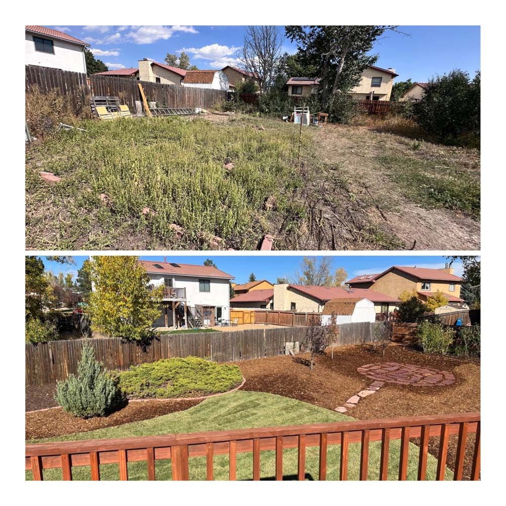 Before and after photos of a backyard with overgrown grass transforming into a landscaped yard with mulch, grass, and plants.