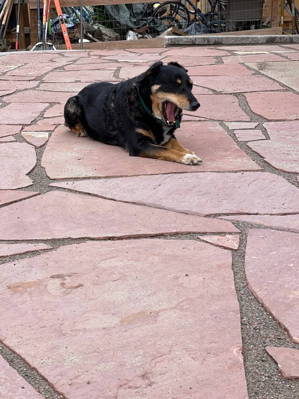 A black and brown dog laying on a brick floor with its mouth open