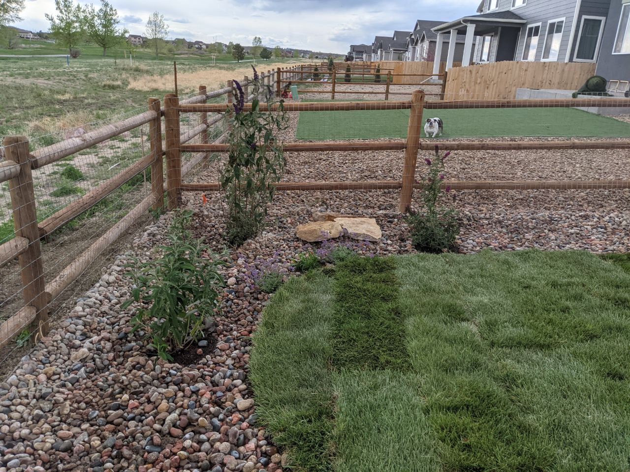 A wooden fence is surrounded by rocks and plants in a yard.