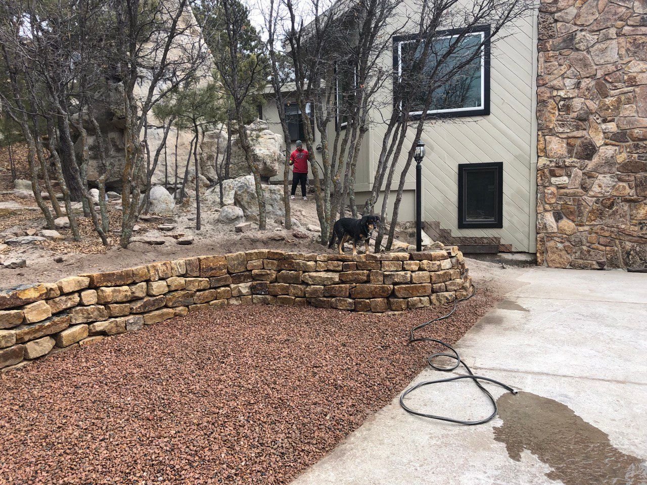 A dog is standing in front of a stone wall in front of a house.