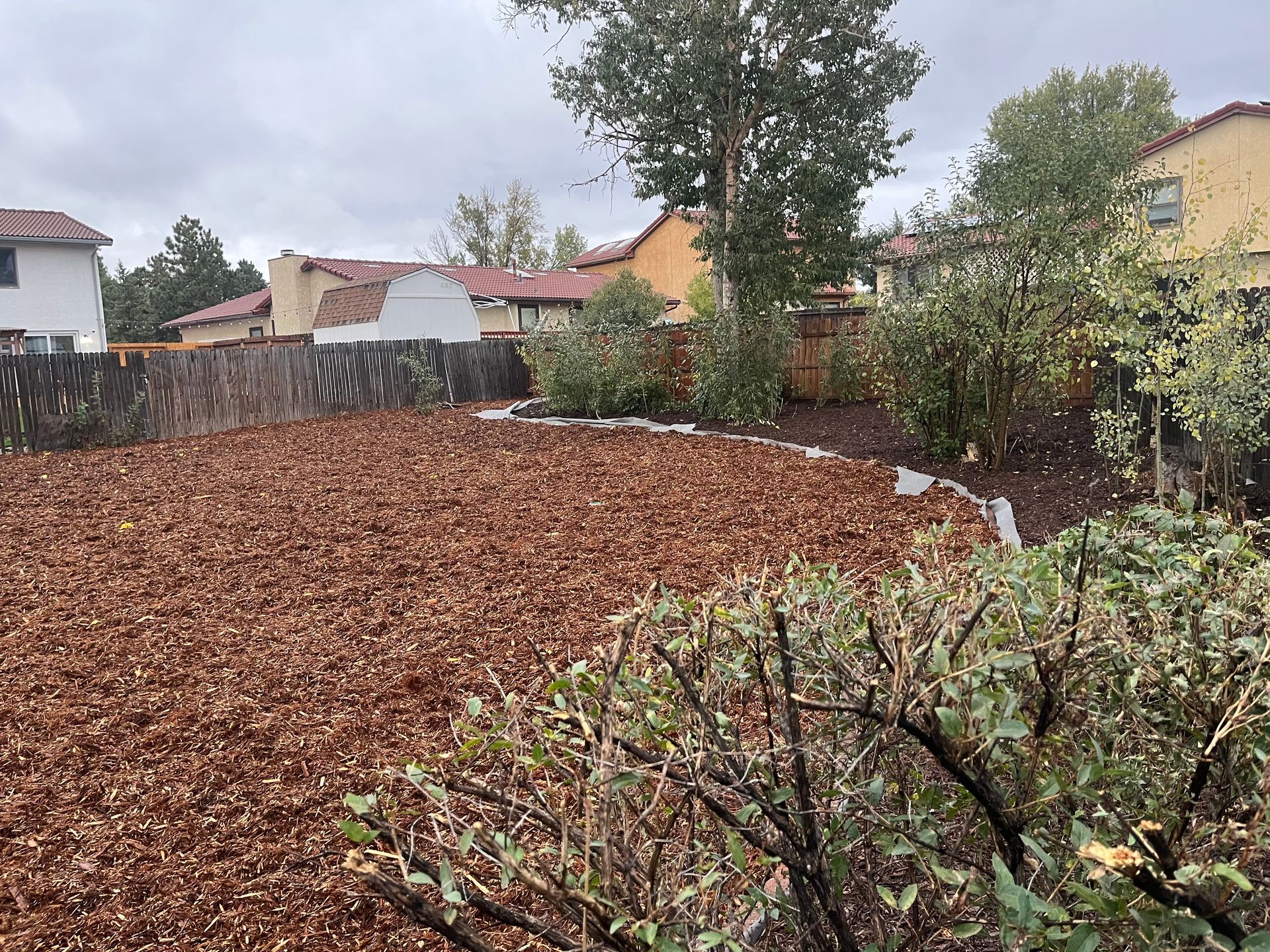 A large pile of brown mulch in a backyard with houses in the background