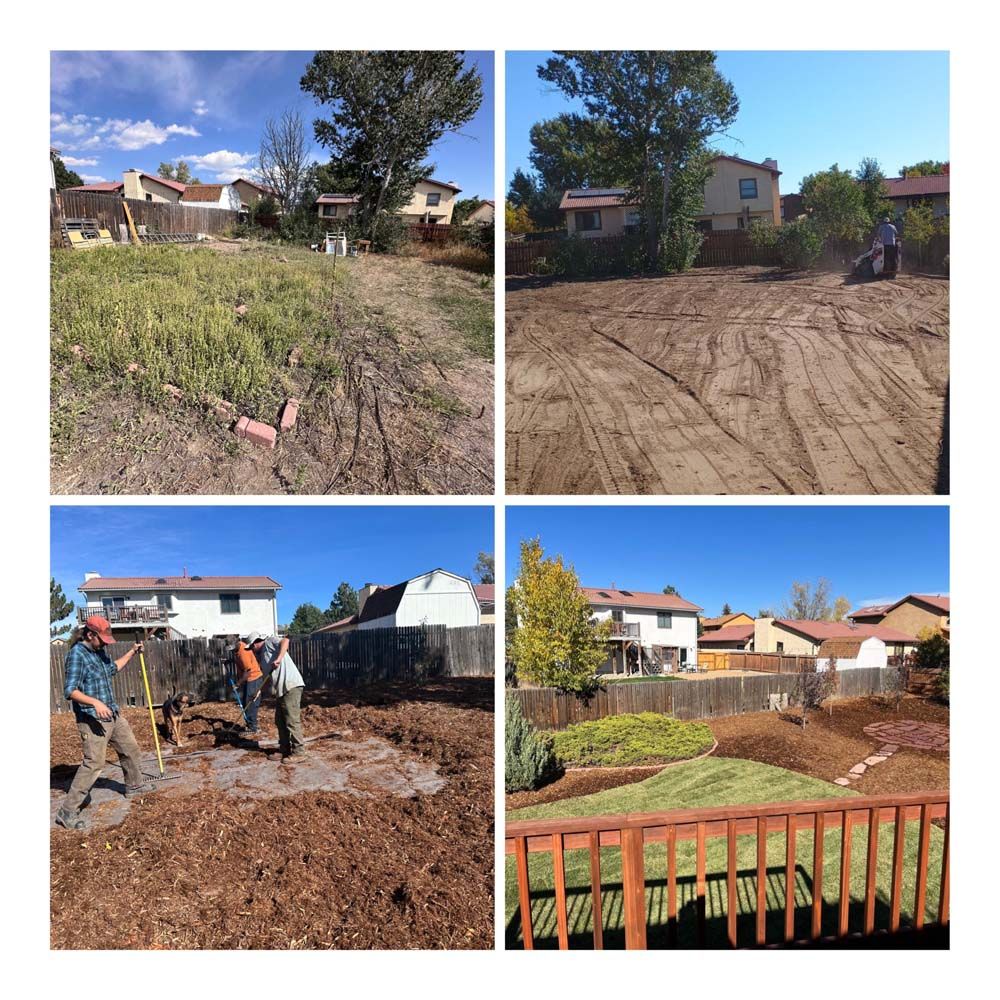 Four-panel sequence: overgrown yard transforms into landscaped backyard with mulch, plants, and deck.