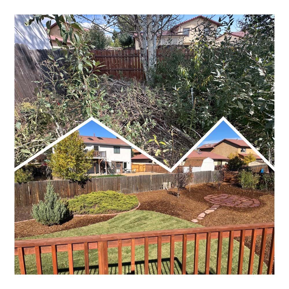 Before and after yard work: overgrown hillside transforms into landscaped yard with deck and grass.