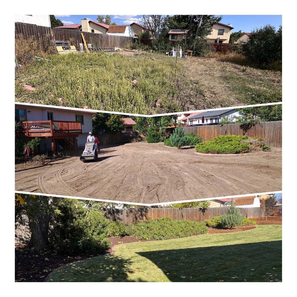 Three-panel photo: overgrown yard, cleared yard, and a landscaped yard with green grass and shrubs.