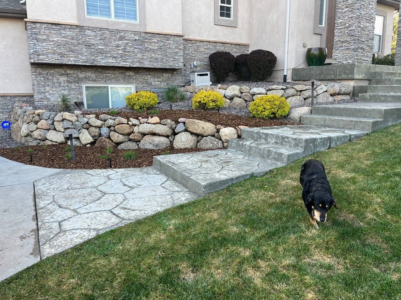 A dog is standing in the grass in front of a house.